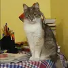 Отзыв от Людмила Кольцова